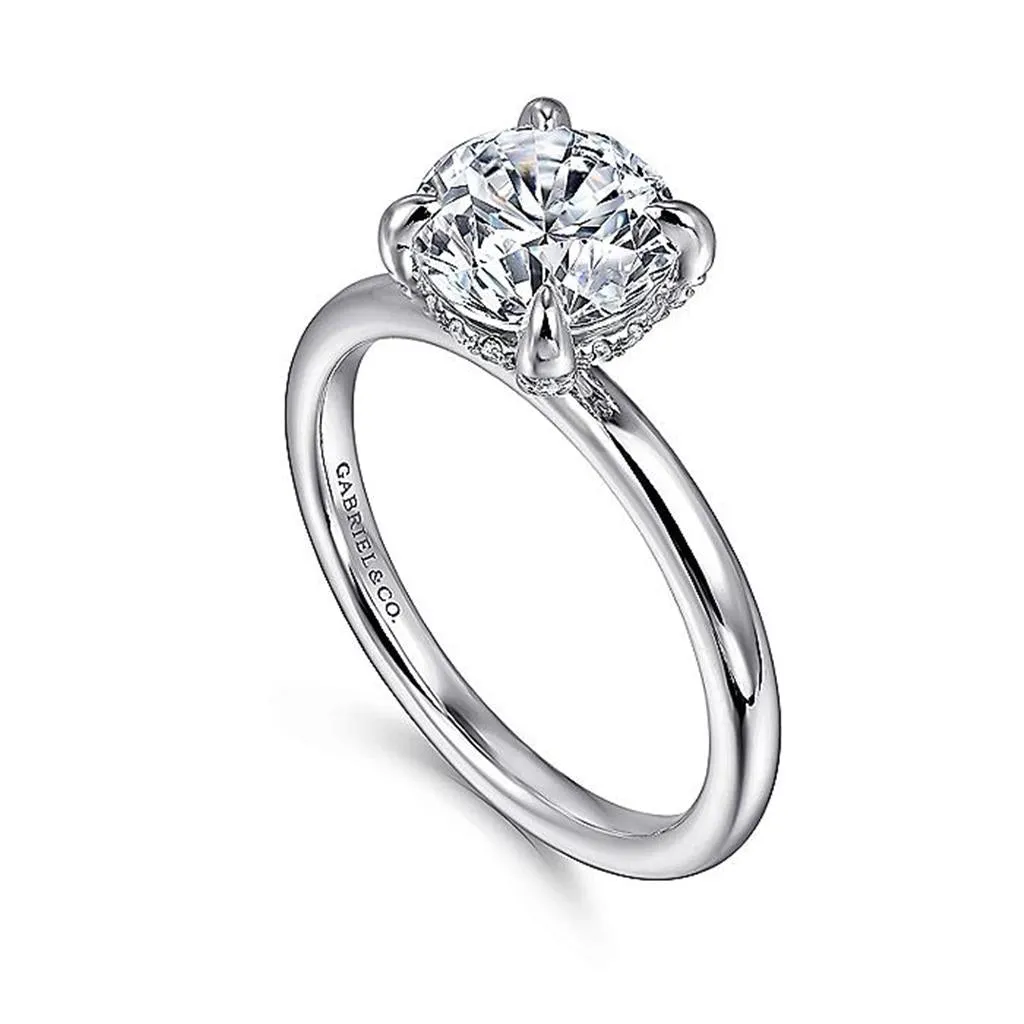 14K White Gold 'Daniele' Round Diamond Hidden Halo Engagement Ring