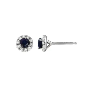 Blue Sapphire and Diamond Earrings