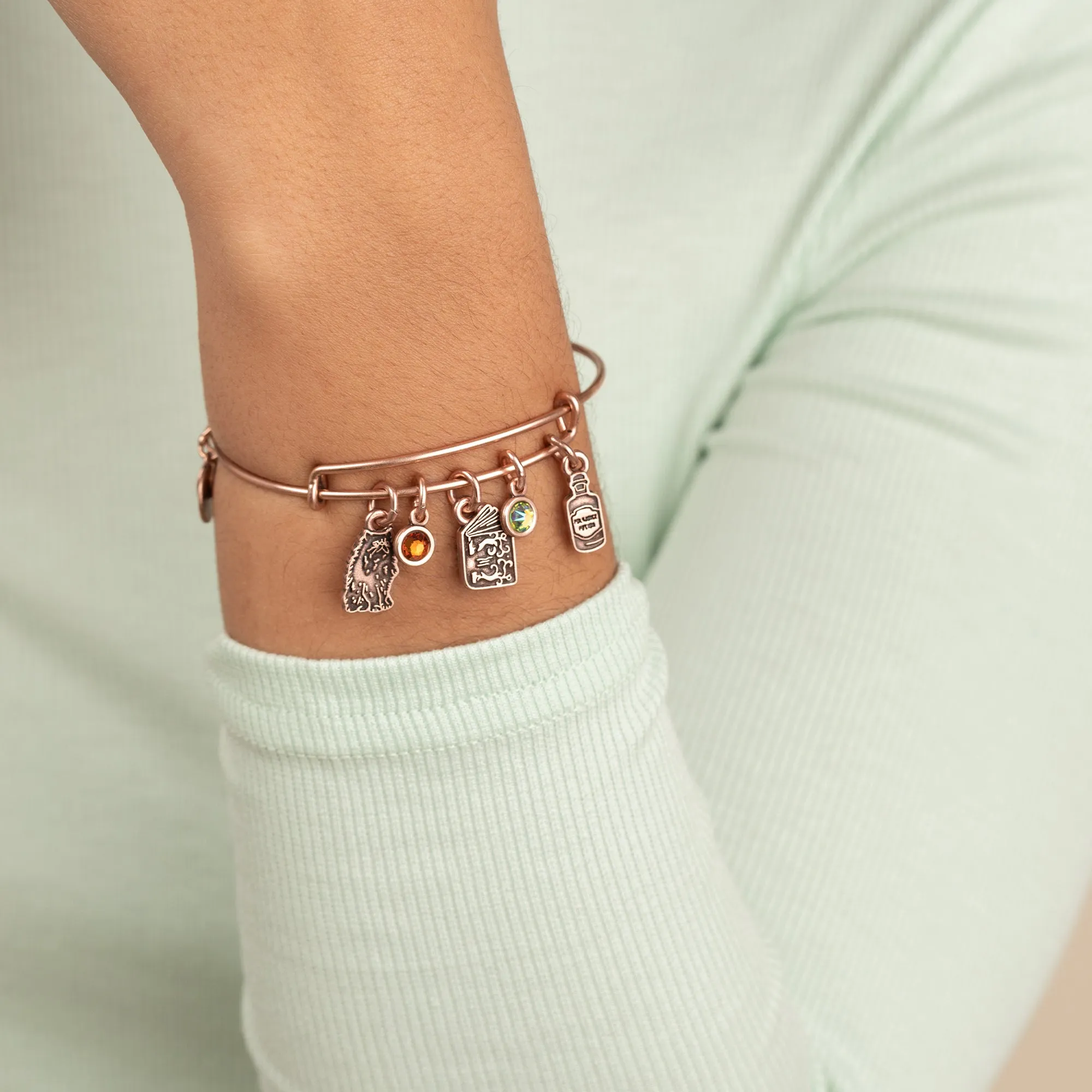 Harry Potter? Hermione Multi-Charm Bangle