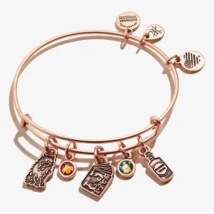 Harry Potter? Hermione Multi-Charm Bangle