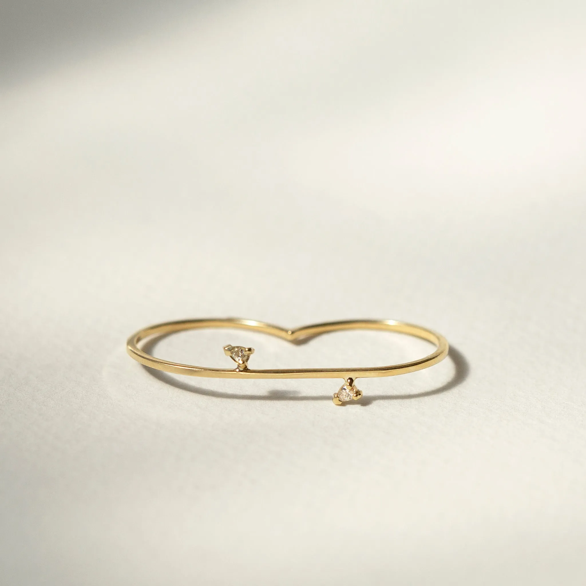Linear Confetti Double Ring
