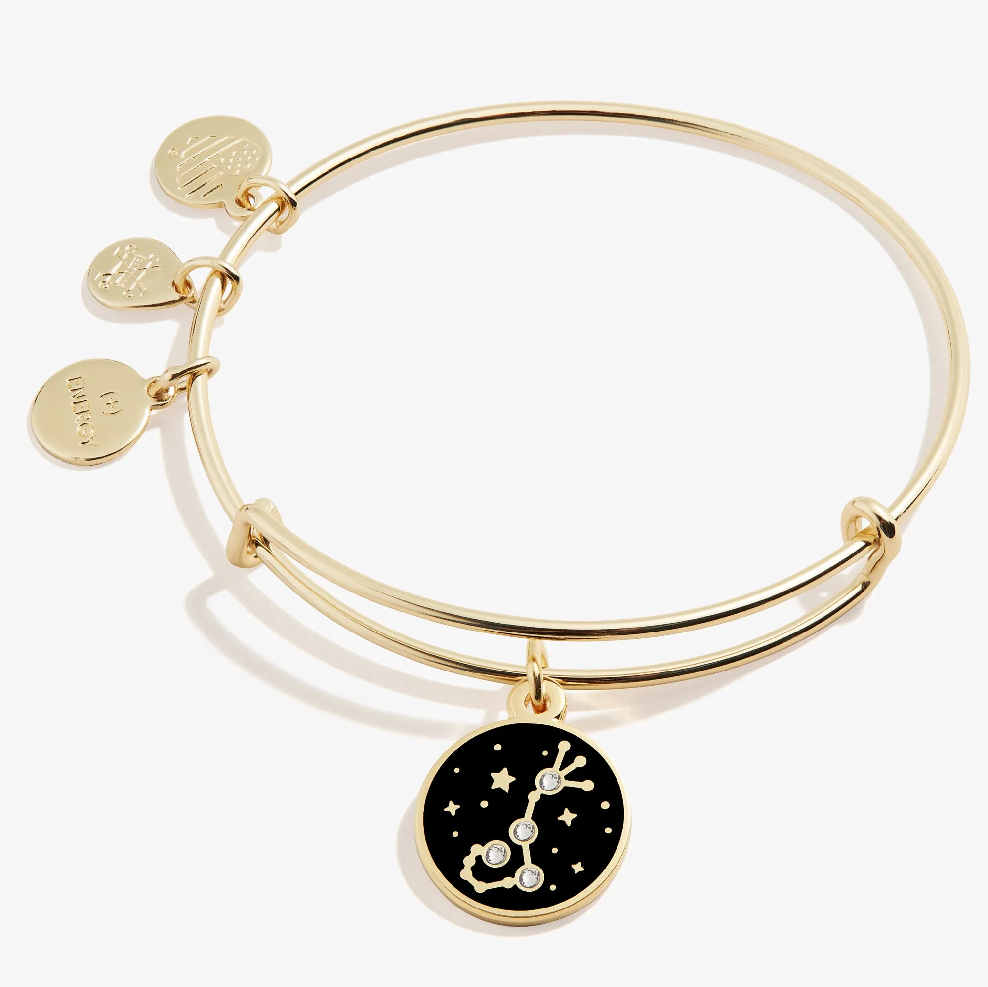 Scorpio Zodiac Charm Bangle